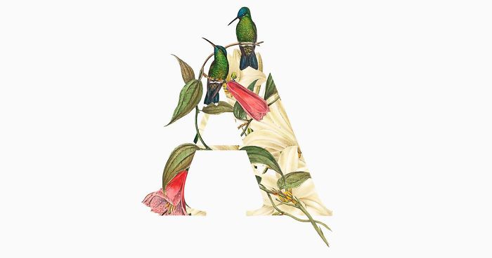 I Started Drawing Alphabet Letters To Overcome My Creative Struggles