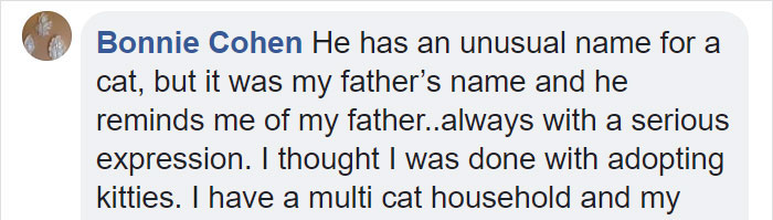 A Man Found The Grumpiest Cat Ever That Was Badly Injured In The Streets Of London