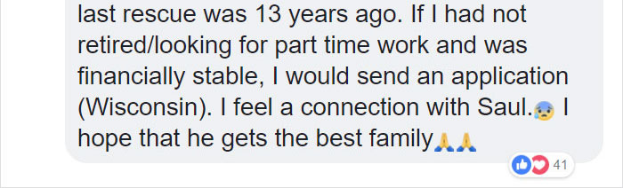 A Man Found The Grumpiest Cat Ever That Was Badly Injured In The Streets Of London