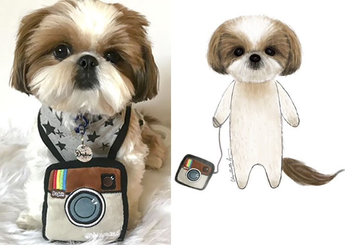 I Draw My Instagram Followers’ Pets And Share Their Stories With The World