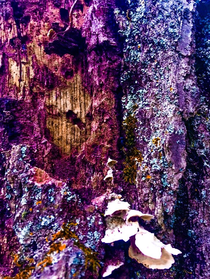 My Favorite Photos From This Summer