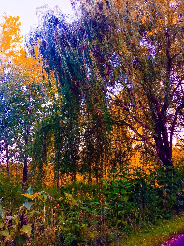 My Favorite Photos From This Summer