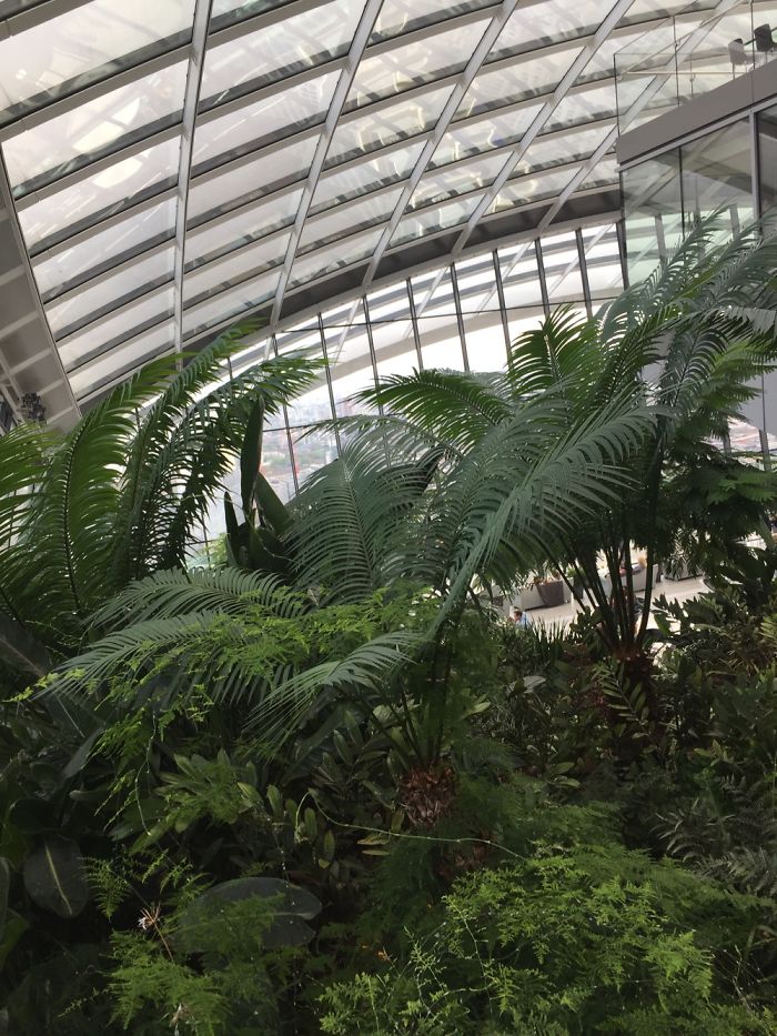 Views From Sky Garden In London!