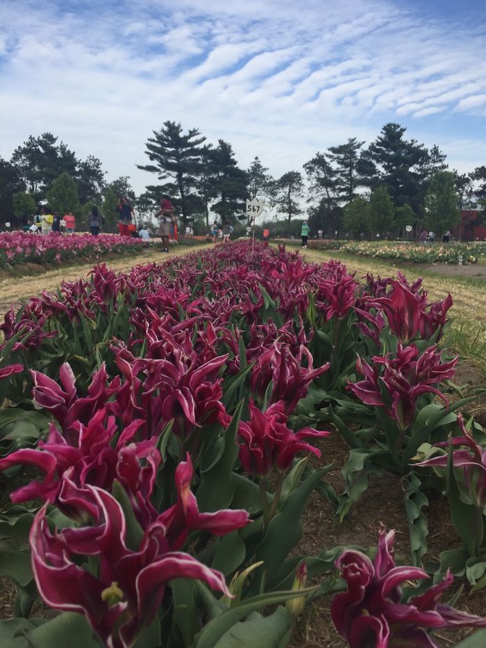 Not Pie But Still A Nice Picture