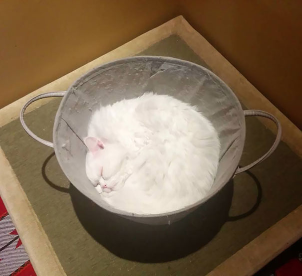 Forbidden Flour