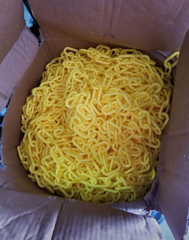 Forbidden Noodles