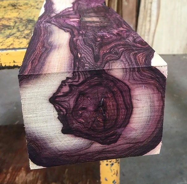 Forbidden Cabbage