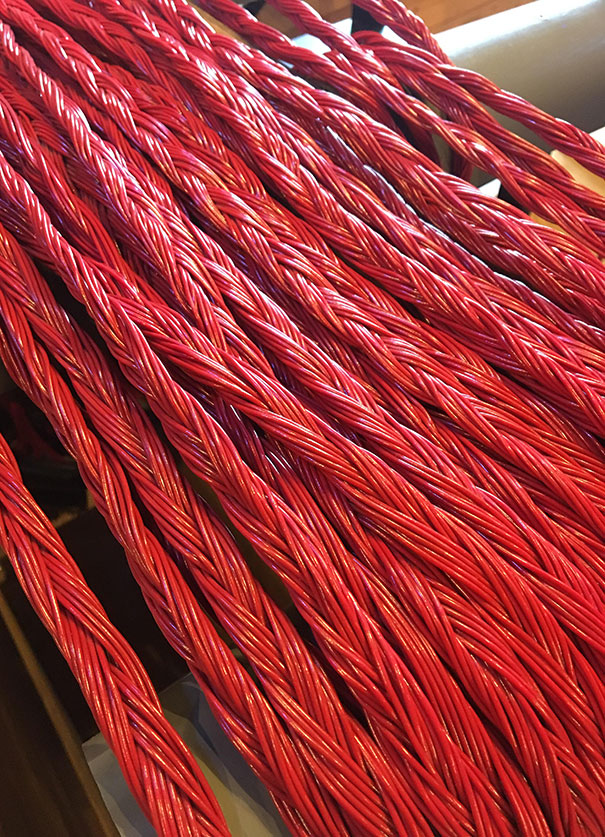 Forbidden, Electrified Twizzlers