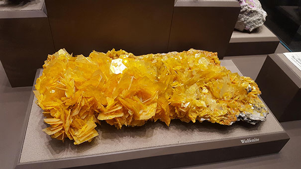 Forbidden Nachos