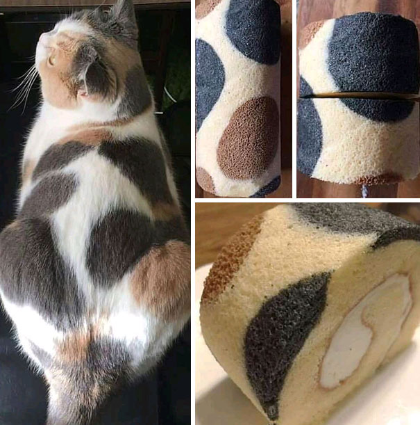 Forbidden Loaf