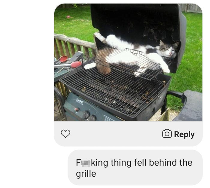 Guy Gets A Message From A Dating Site Bot, Sees How Far He Can Take The Conversation