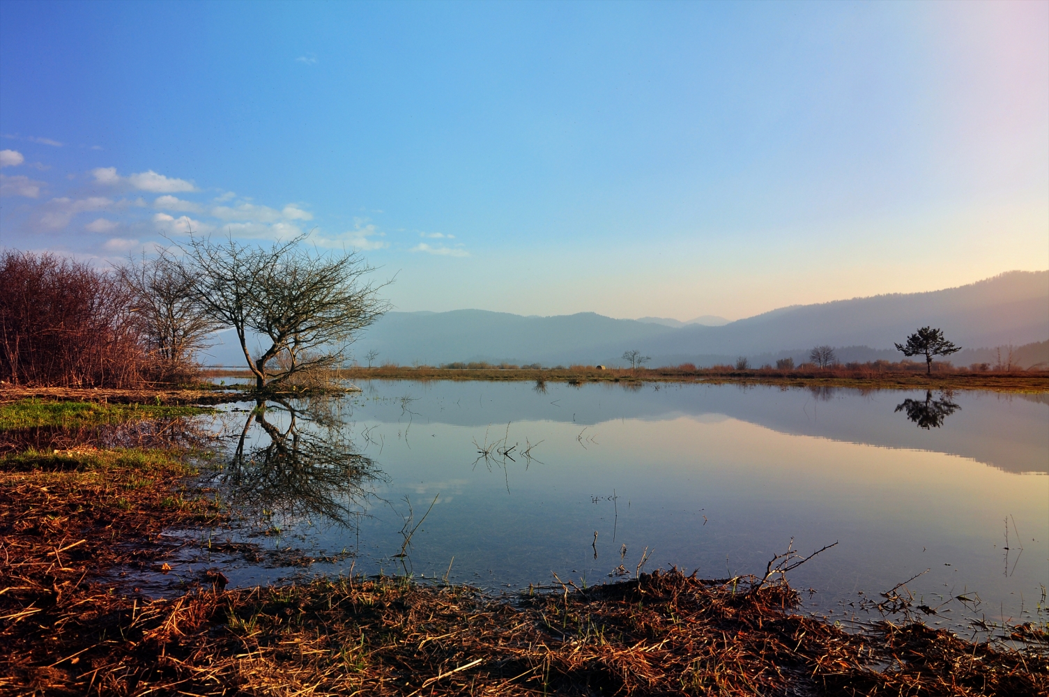 I Took Pictures Of Lake Cerknica In All Seasons