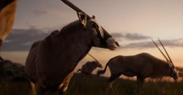 Somebody Compared The Lion King 2019 To The 1994 Animation Side By Side Somebody Compared The Lion King 2019 To The 1994 Animation Side By Side