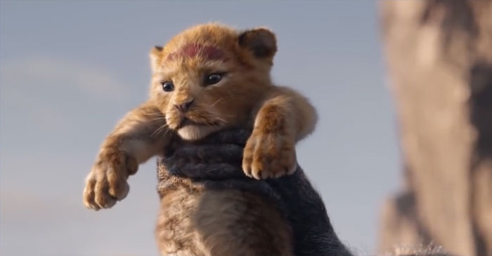 Somebody Compared The Lion King 2019 To The 1994 Animation Side By Side Somebody Compared The Lion King 2019 To The 1994 Animation Side By Side