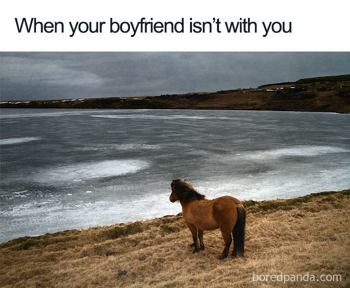 Horse standing by a frozen lake, capturing the feeling of missing a significant other.