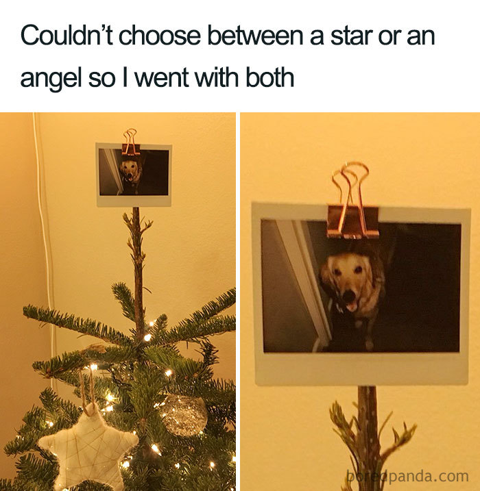 Christmas meme featuring a photo of a dog on top of a tree as a unique decoration choice.