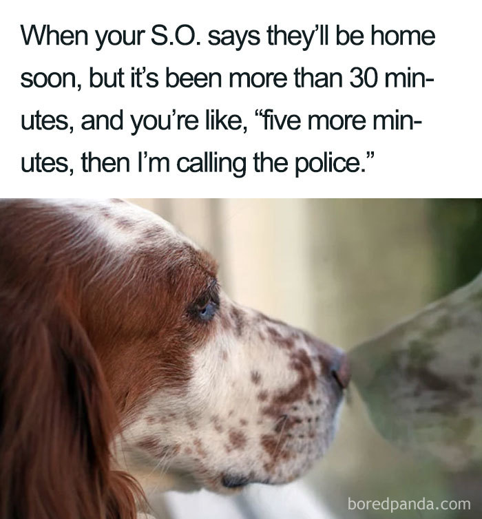 Dog waiting by window with funny text about significant other being late, part of wholesome relationship memes collection.