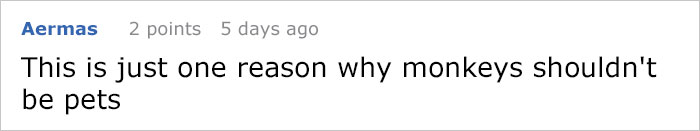 Guy Asks People To Share Unbelievable Things That Happened In Public And His Own Story Tops Everything