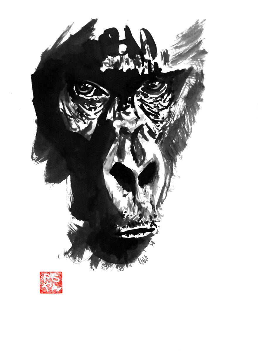 Gorilla's Look
