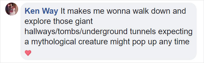 10 Incredible Photos Taken Inside Music Instruments By A Romanian Photographer