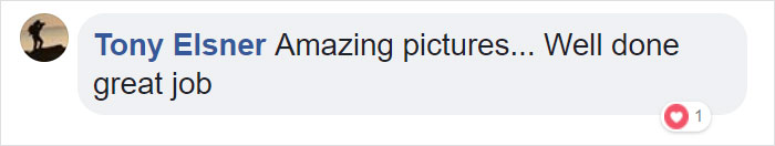 10 Incredible Photos Taken Inside Music Instruments By A Romanian Photographer