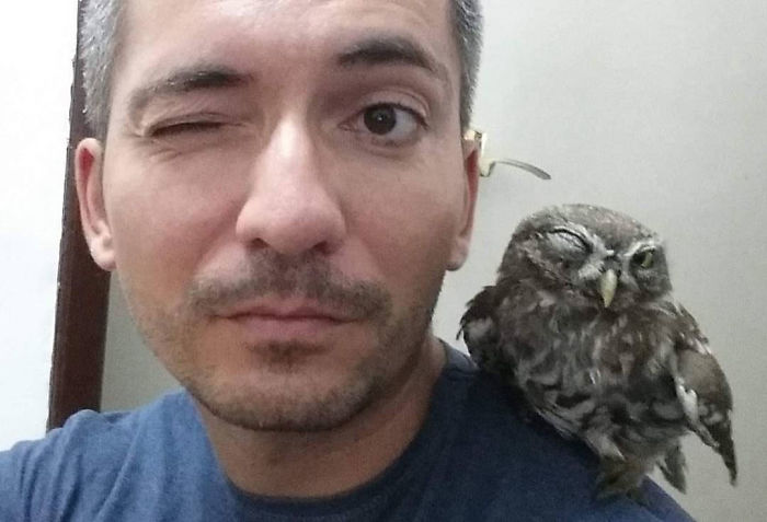 10 Incredible Photos Taken Inside Music Instruments By A Romanian Photographer 10 Incredible Photos Taken Inside Music Instruments By A Romanian Photographer