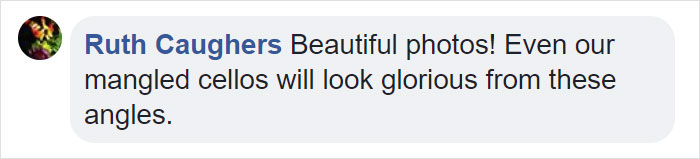 10 Incredible Photos Taken Inside Music Instruments By A Romanian Photographer 10 Incredible Photos Taken Inside Music Instruments By A Romanian Photographer