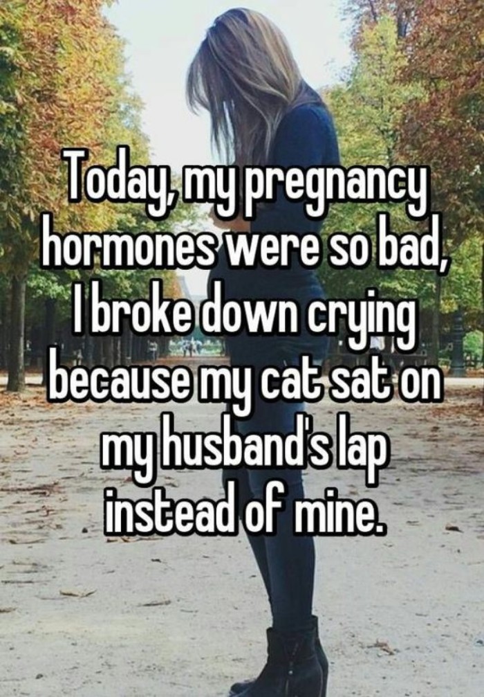Pregnancy meme of a woman standing outdoors, highlighting hormonal mood swings and cat woes.
