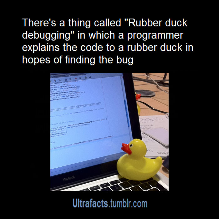 Programmer Explains Why They Keep Rubber Ducks By Their Computers