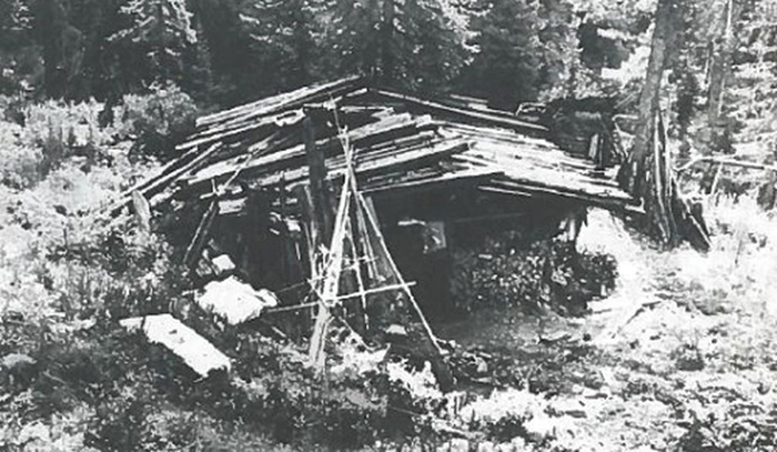 This Family In Siberia Was So Isolated, They Didn't Even Know About WWII