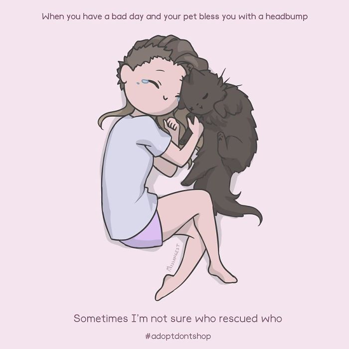 Relatable-Cat-Comics-Missangest