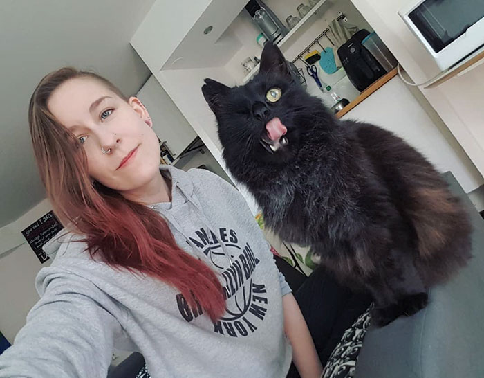 relatable-cat-comics-missangest-26