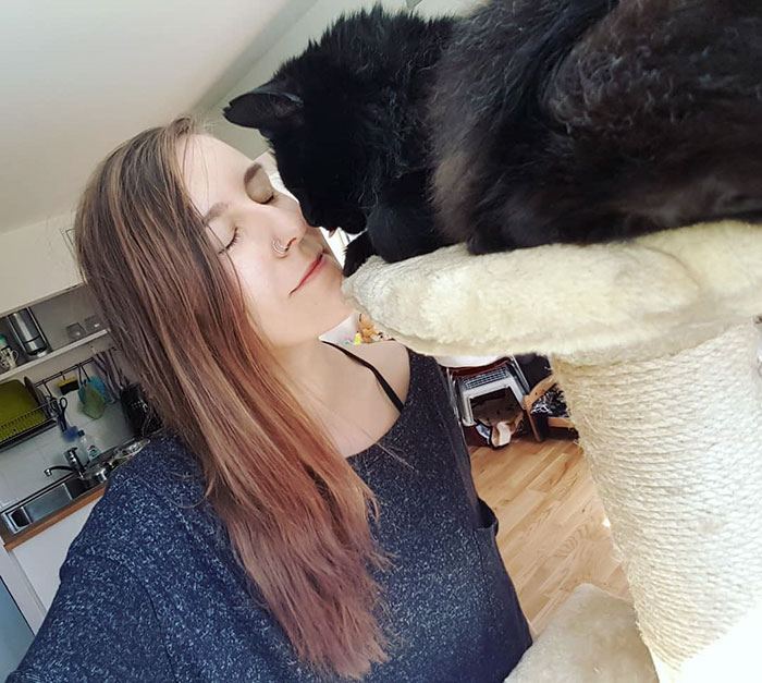 relatable-cat-comics-missangest-27