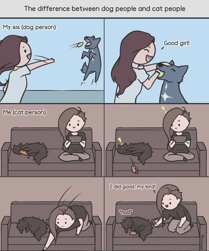 Relatable-Cat-Comics-Missangest