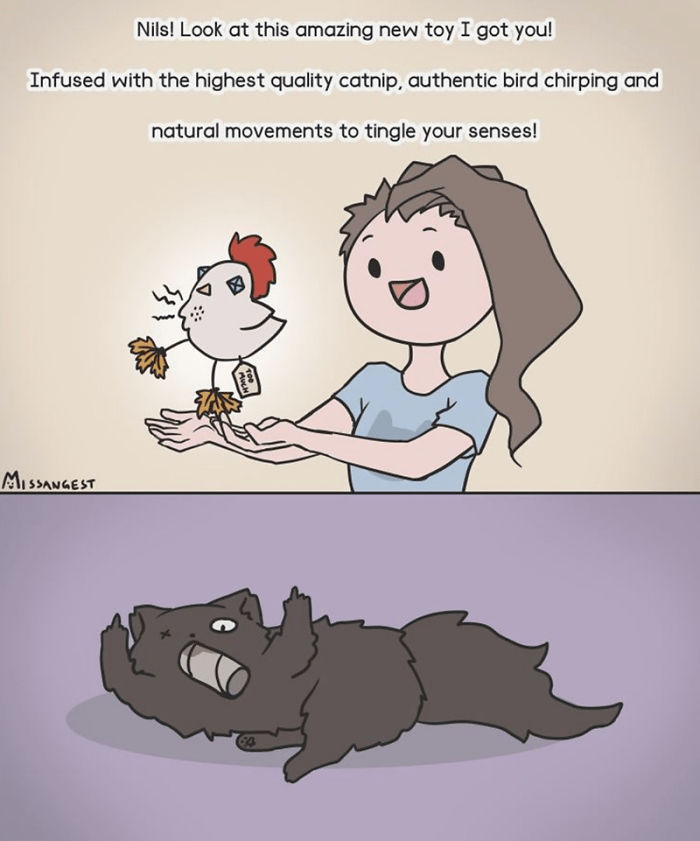 Relatable-Cat-Comics-Missangest