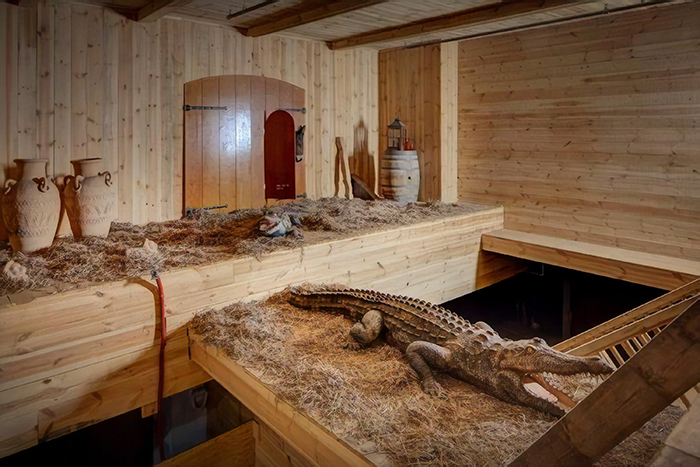 Dutch Man Built A $1.6 Million Ark With A Stunning Interior Dutch Man Built A $1.6 Million Ark With A Stunning Interior