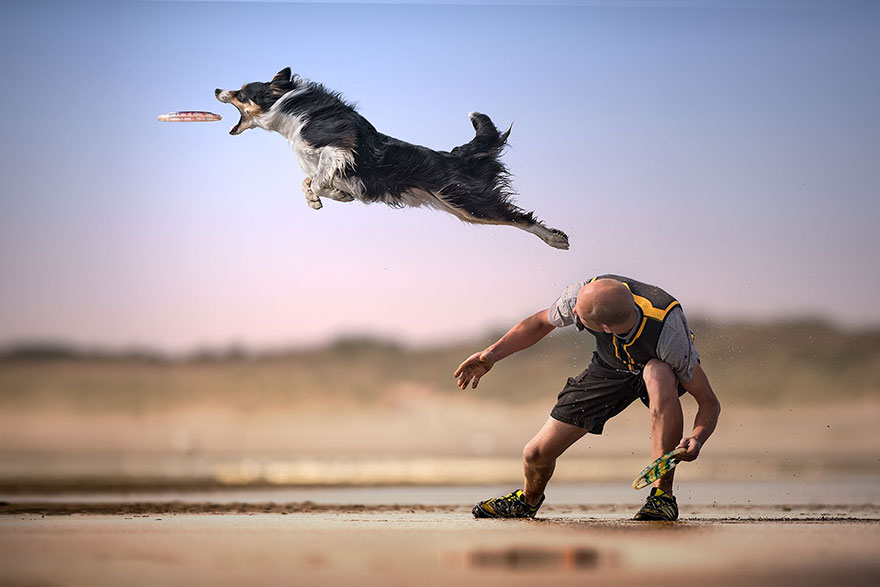 Flying On The Beach, The Netherlands (Honorouble Mention In General Color Category)