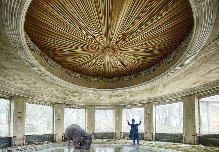 Circus Decay, Belgium (Honorouble Mention In General Color Category)