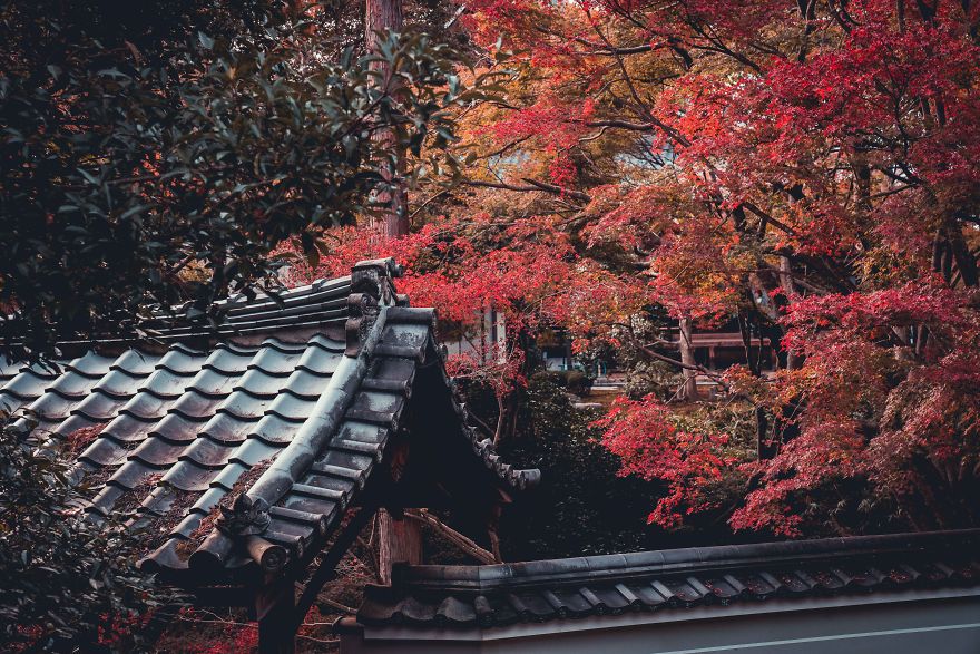 A Weekend In Kyoto