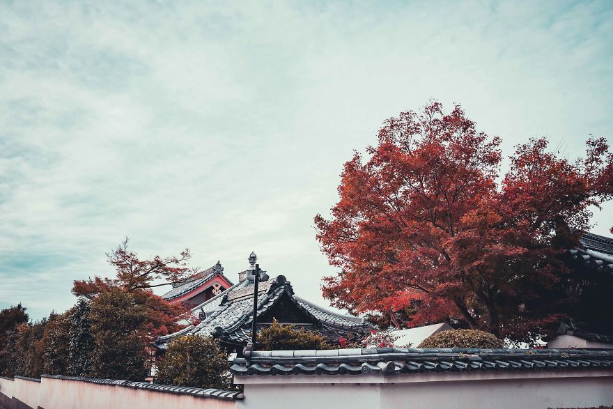 A Weekend In Kyoto