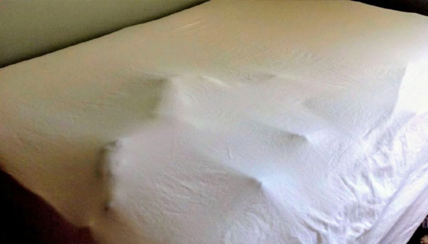 Guess Who Didn't Care About Making The Bed