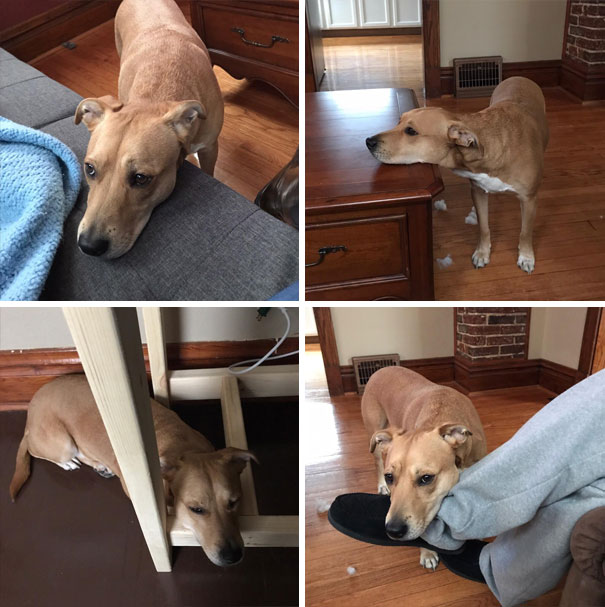 She Will Literally Rest Her Head On Anything