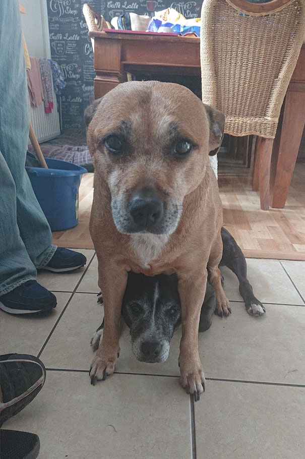 When You Tell The One With No Concept Of Personal Space To Sit