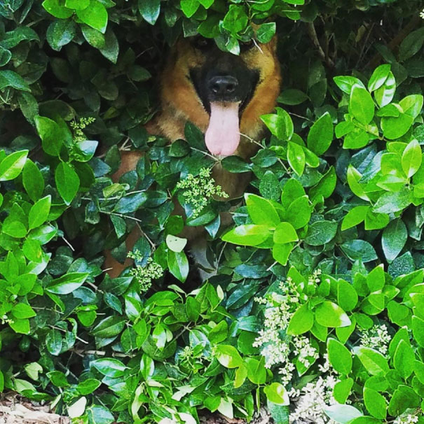 We Stopped Asking Questions A Long Time Ago