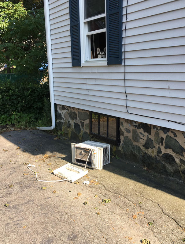 I Guess We'll Just Be Hot Then