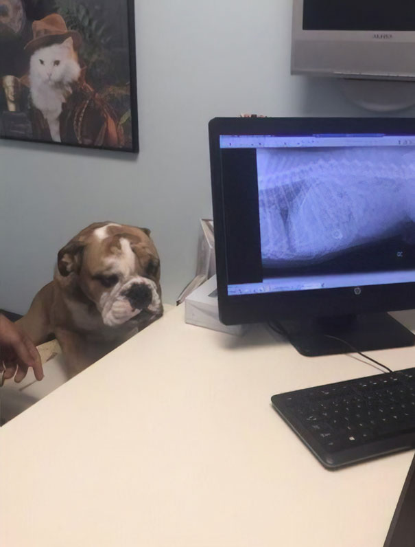 Showing Remorse After Swallowing Mom's Engagement Ring