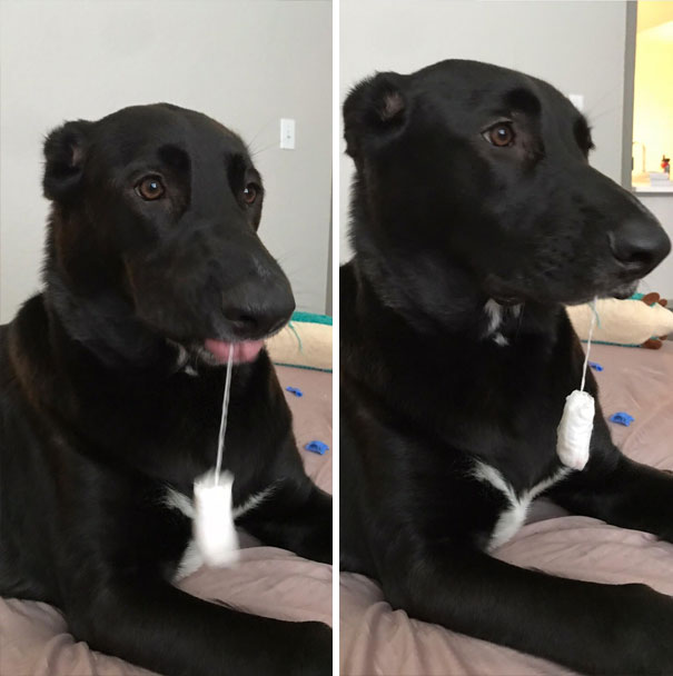 Look Over And He’s Got A Tampon Dangling Out His Mouth. He Got It Out Of The Wrapper And Everything By Himself