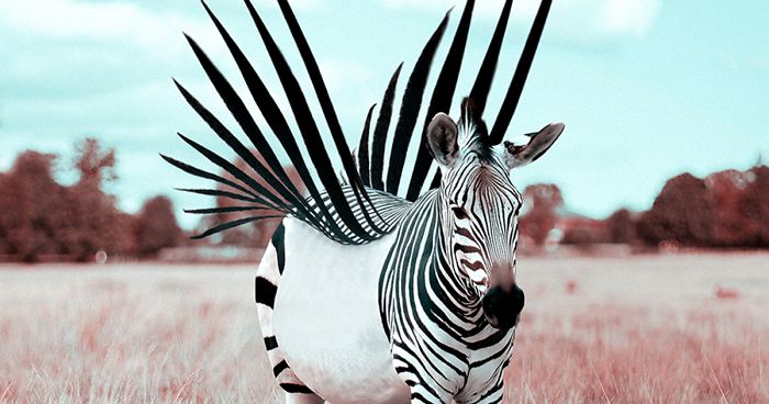 Here’s How I Imagine Animals Behave When You Aren’t Looking (20 Pics)