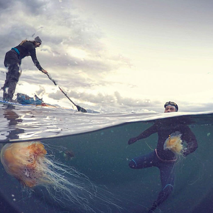 Man Who Spent 5 Months Swimming Around Great Britain Shares His Chilling Experience Man Who Spent 5 Months Swimming Around Great Britain Shares His Chilling Experience