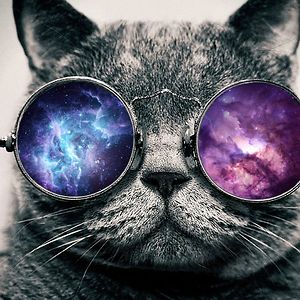 anushka-suraj avatar